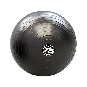 steady ball 75cm