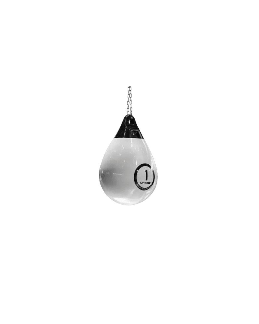 aqua boxing bag